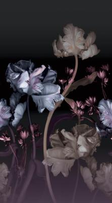 Фото Erismann Fashion for Walls 4 2540N-81