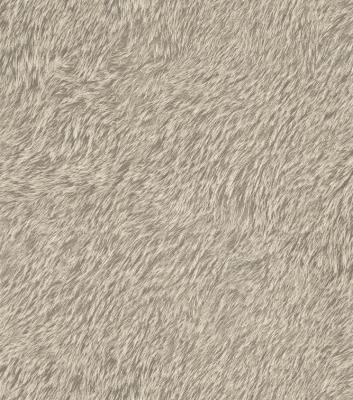 Фото Rasch Black Forest 2016 514506