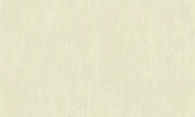 Фото A.S.Creation Speranza 955651