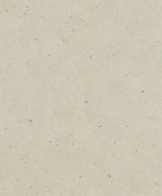 Фото Rasch Factory 2014 438017