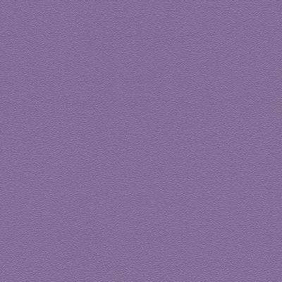 Фото Rasch Plaisir 2016 740301