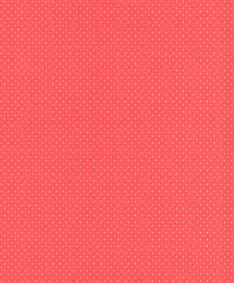 Фото Rasch Freundin II 442311