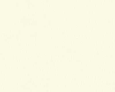 Фото A.S.Creation Meistervlies 3 300119