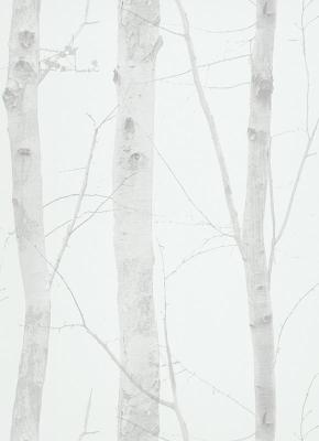 Фото Erismann Nordic Summer 1782-31