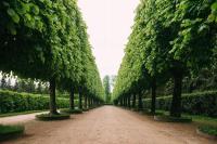 Парк у дворца