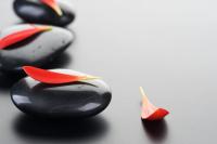 Лепестки на камнях