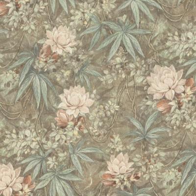 Фото Rasch Axiom 905076