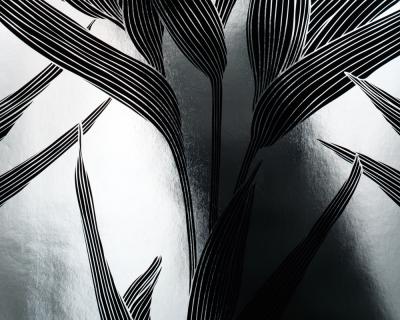 Фото A.S.Creation Chroma 133137