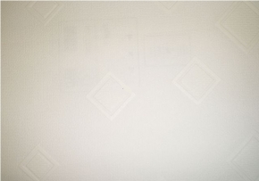 Фото Marburg Patent Decor 1880