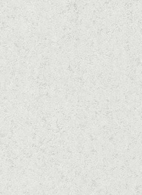 Фото Erismann BasiXs 6493-01