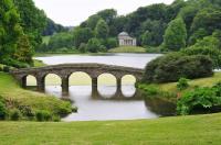 Лес и мостик