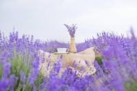 Лаванда и кофе