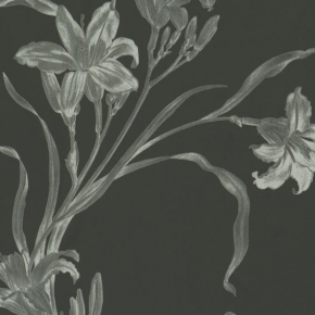 Фото BN International Caravaggio 46842