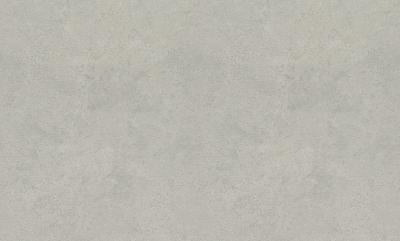 Фото Rasch Metal Spirit 977134