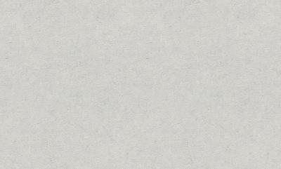 Фото Erismann Fashion for Walls 5 12262-10