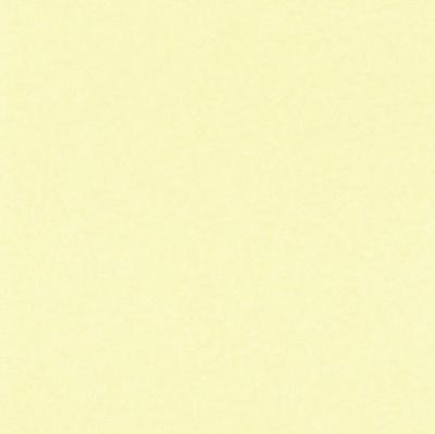 Фото Rasch Villa Coppenrath II 295719