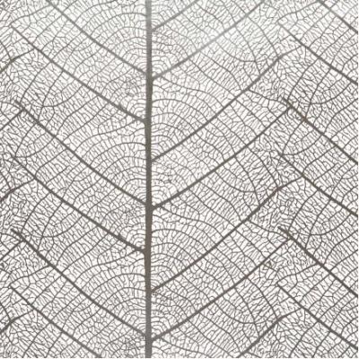 Фото Sandudd Rolleri 7 4955-6