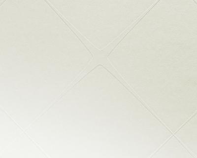 Фото A.S.Creation Hadi Teherani 117014