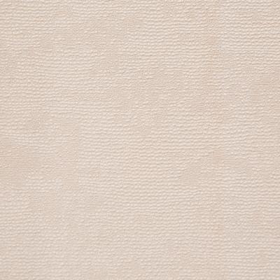 Фото Rasch Catania 2018 928853