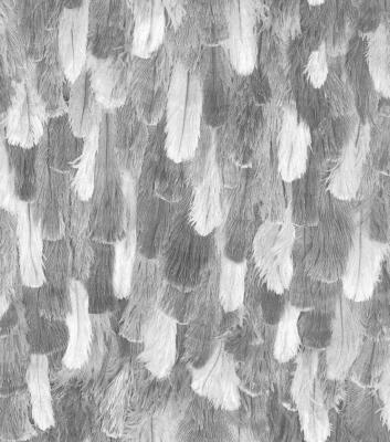 Фото Rasch African Queen 2 473308