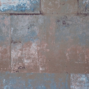 Фото BN International Eye 47212