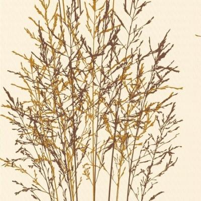 Erismann Senses 2013 5722-02