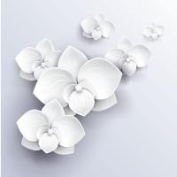 Белые 3д цветы