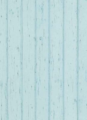 Фото Erismann Scandinja 6464-18