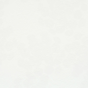 Фото BN International Motion 46630