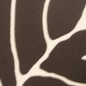 Фото BN International Diva 43703