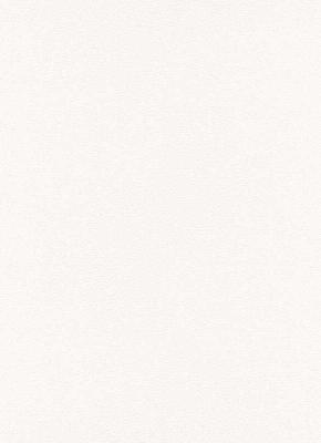 Erismann Up to date 6458-01