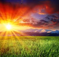 Рассвет в зеленом поле