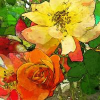 Яркие розы