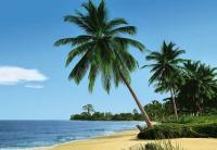 Komar 8-074 (Берег Африки)