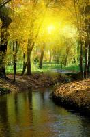 Лучи солнца