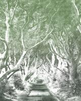 Komar 6024B-VD2 (Alley Graphite)