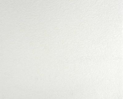 Фото A.S.Creation Meistervlies Pro 2 168214