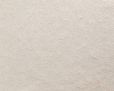 Фото A.S.Creation Omnia 180896