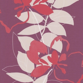 Фото Marburg Zu Hause Wohnen 2 53027