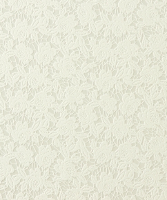 Фото BN International Shadows on the Walls 45572