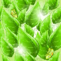 Листья и бабочки