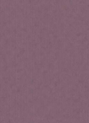 Фото Erismann BasiXs 6488-45