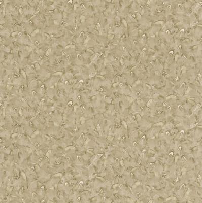 Фото Rasch Black Forest 2016 514711