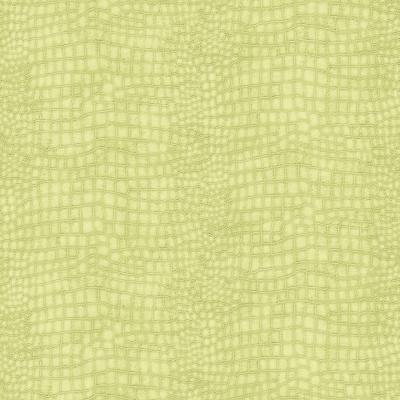 Фото Graham & Brown Paradise 32-663