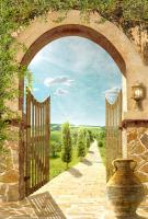 Дорога в поле