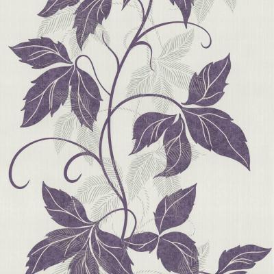 Фото P+S International Sinfonia 2015 42089-40