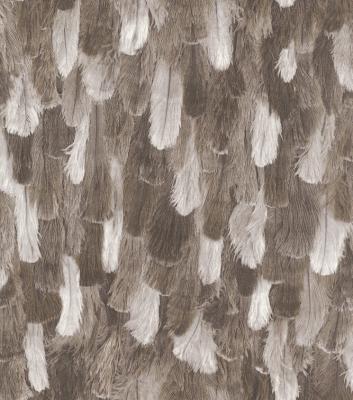 Фото Rasch African Queen 2 473322