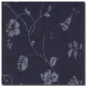 Фото BN International Jolly 46664