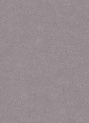 Фото Erismann City Glam 5958-34