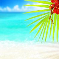 Цветы и море